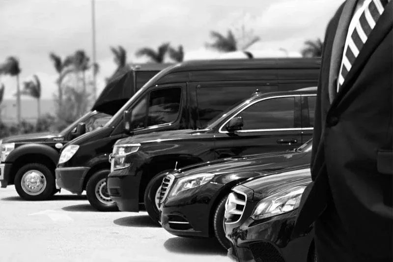 Vans, minibuses y buses